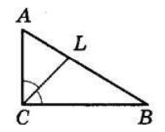 Відповідь до завдання № 17.46 Геометрія