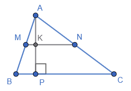 Відповідь до завдання № 24.29 Геометрія
