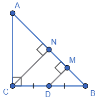 Відповідь до завдання № 11 ЗПЗ 2 Геометрія